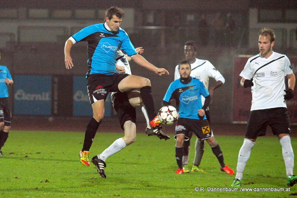 voecklabruck regau dannenbaum 311014 2