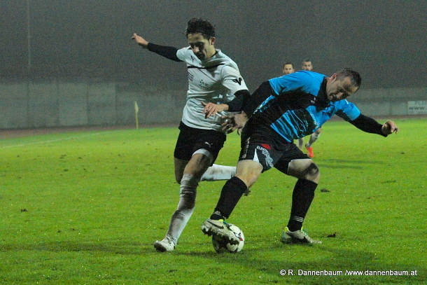 voecklabruck regau dannenbaum 311014 4