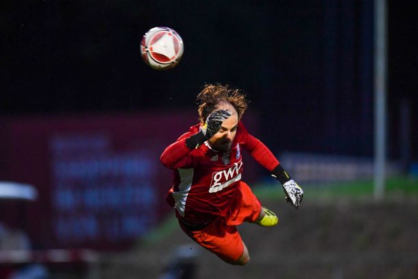 donau edelweiss dostal3