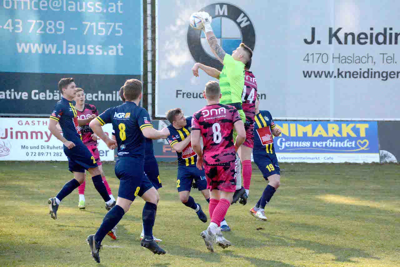 Gierlinger Aigner Hackl Starlinger