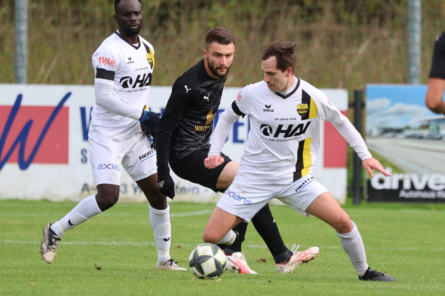 schaerding schalchen 1 2023 11 11 schroeckelsberger