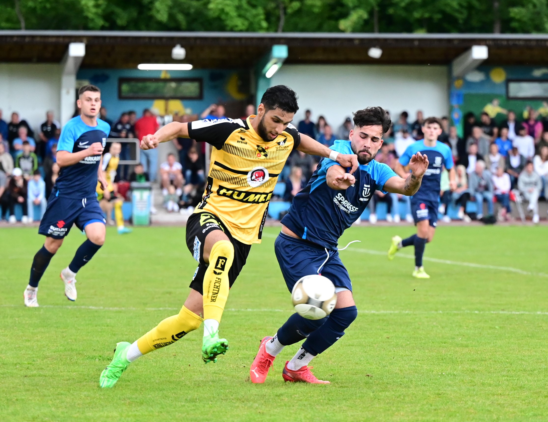 thalheim gunskirchen 30 05 2024 waage