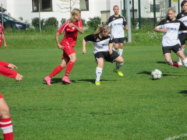 altmuenster wolfern pichler 0516 3