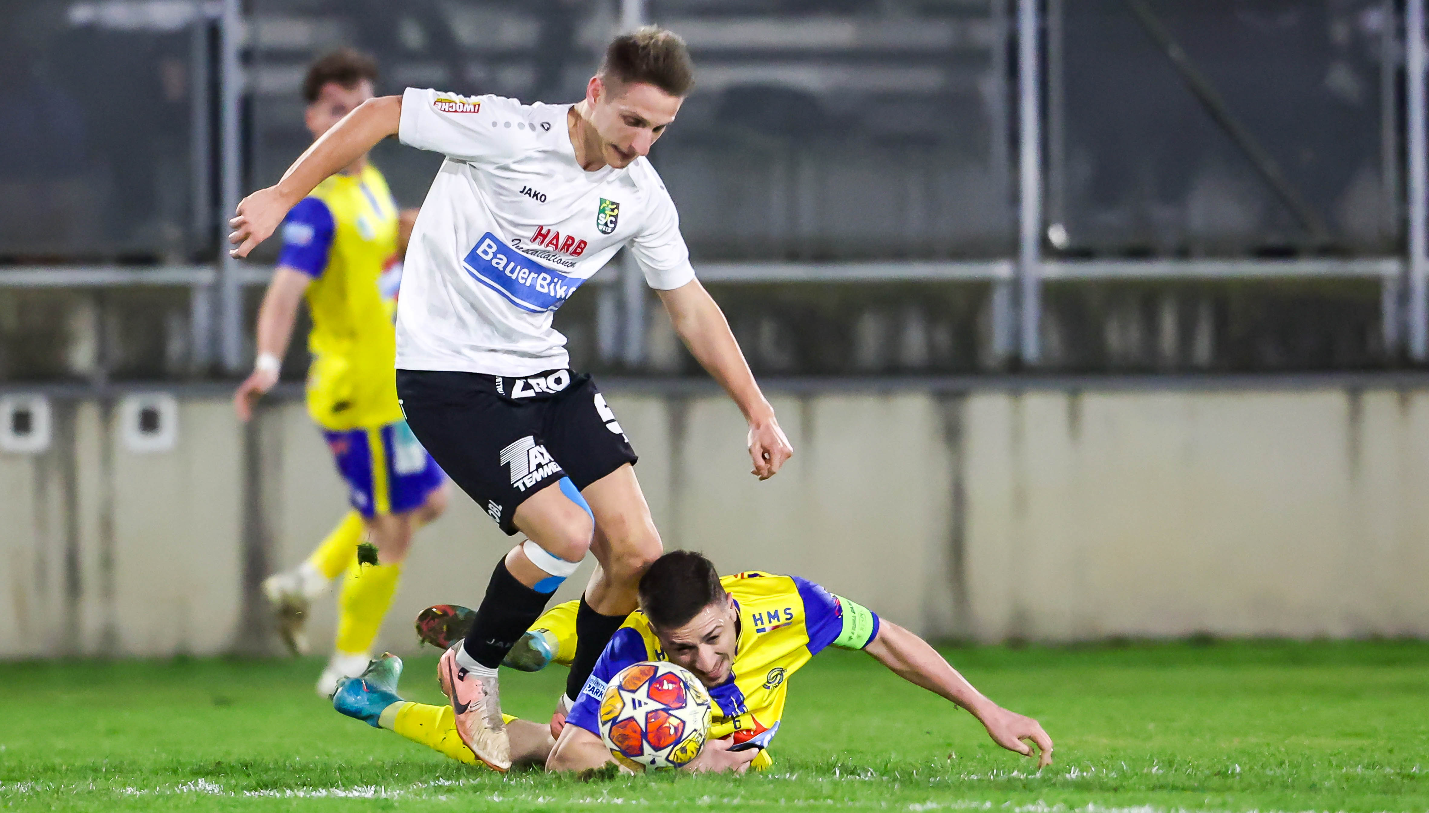 weiz dsc 2025 03 21 ripu mandl1