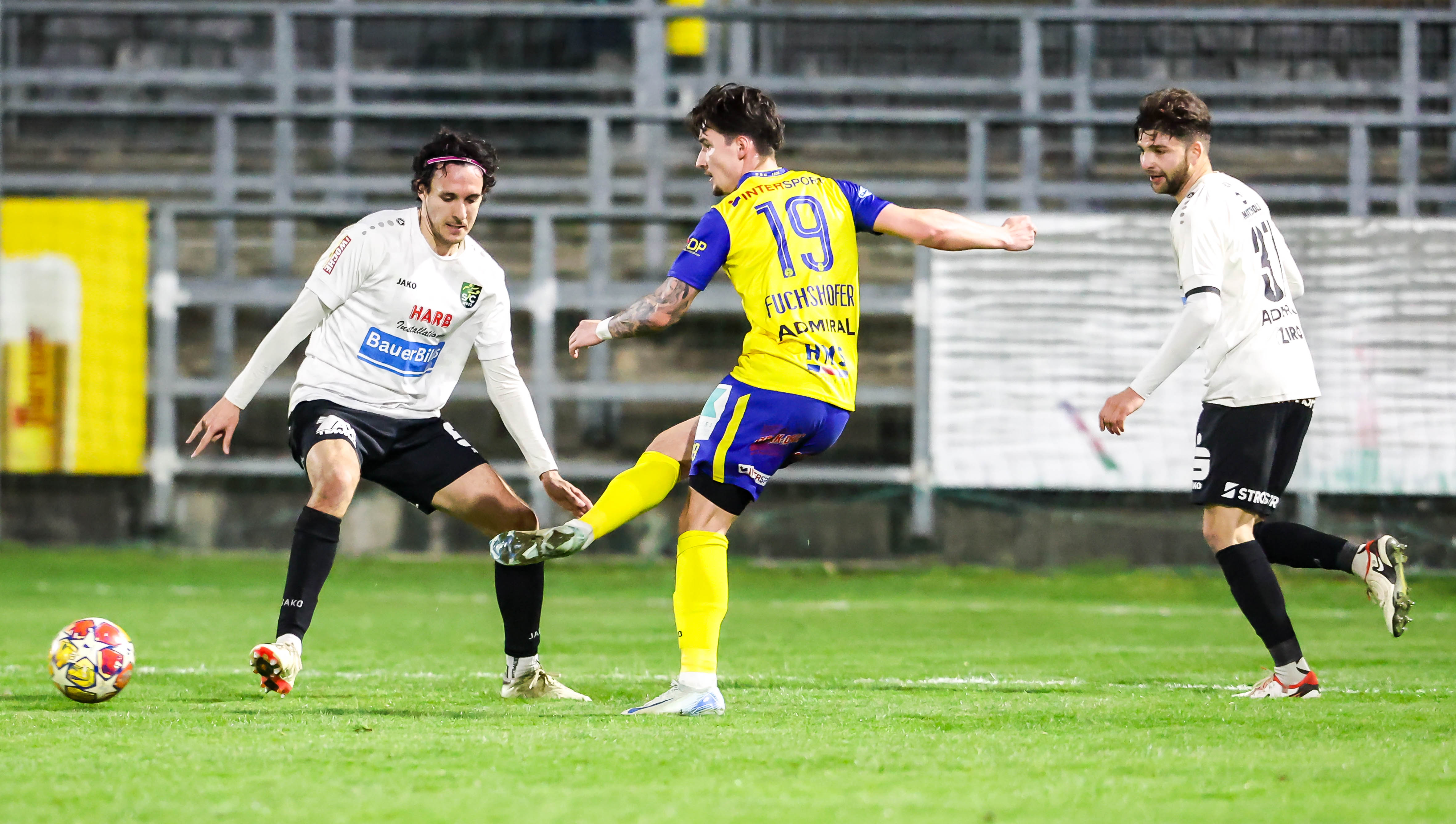 weiz dsc 2025 03 21 ripu mandl2