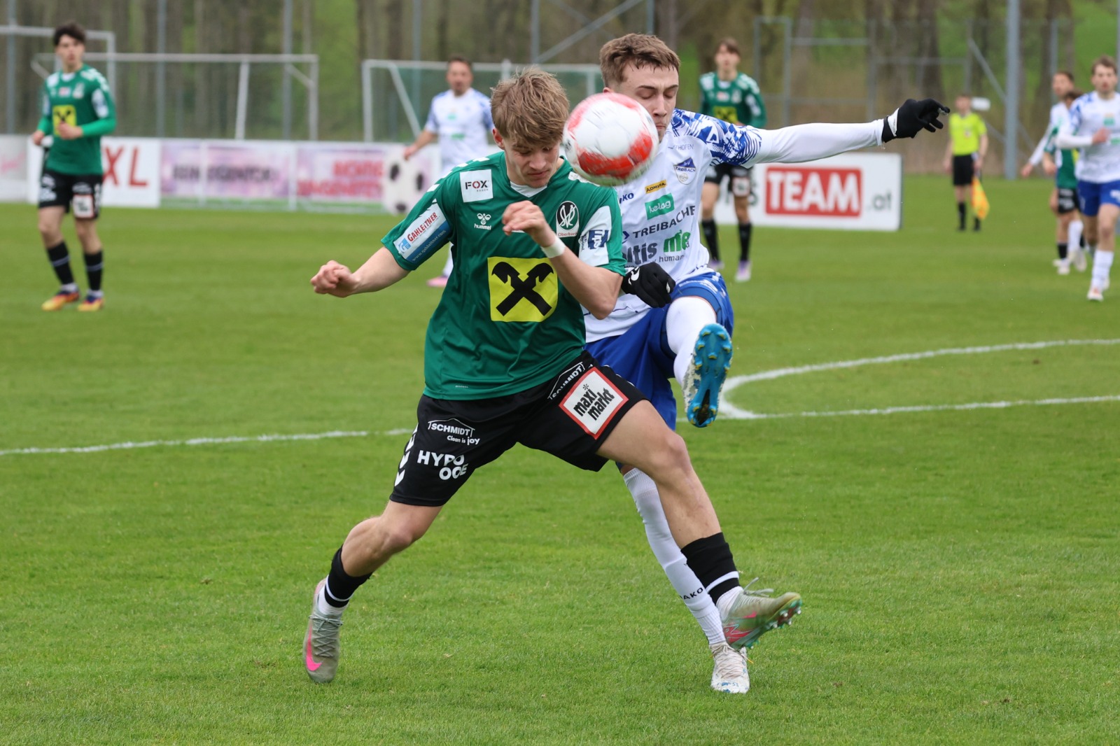 ried treibach 2026 04 05 Schroeckelsberger mandl