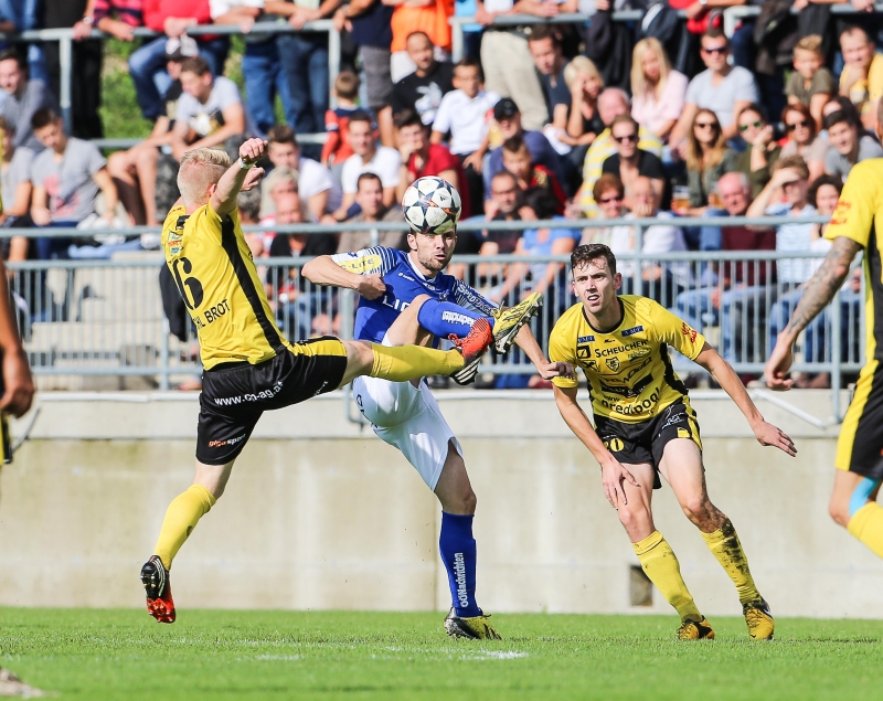 allerheiligen blauweiss