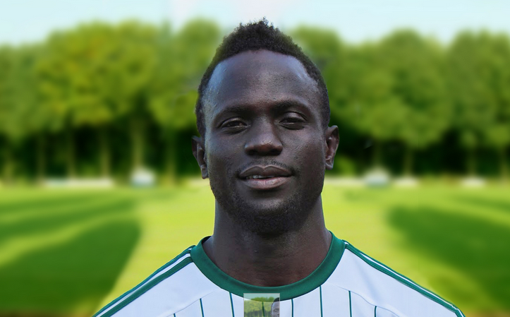 Vöcklamarkt's Landing Goudiaby