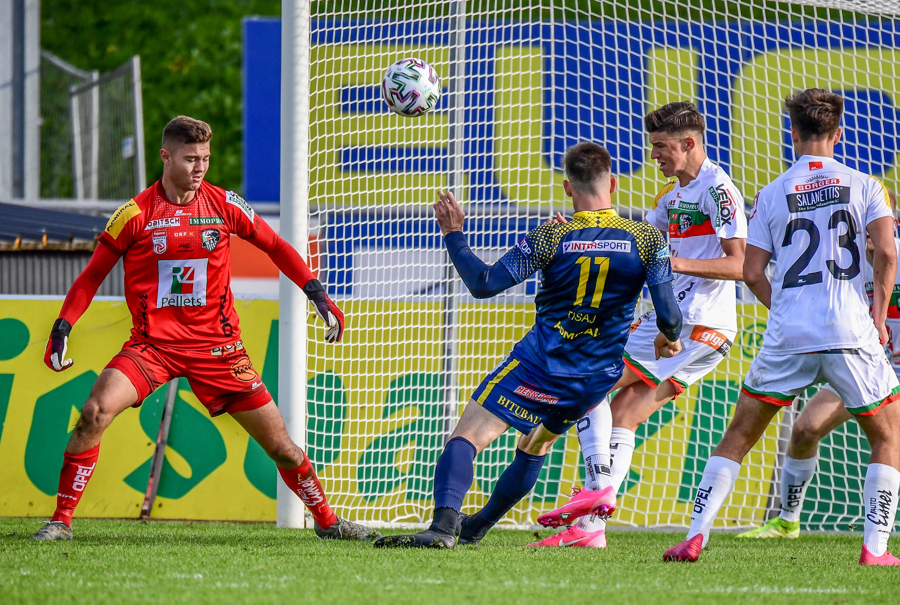 GerhardPulsingerWACvsDSC55