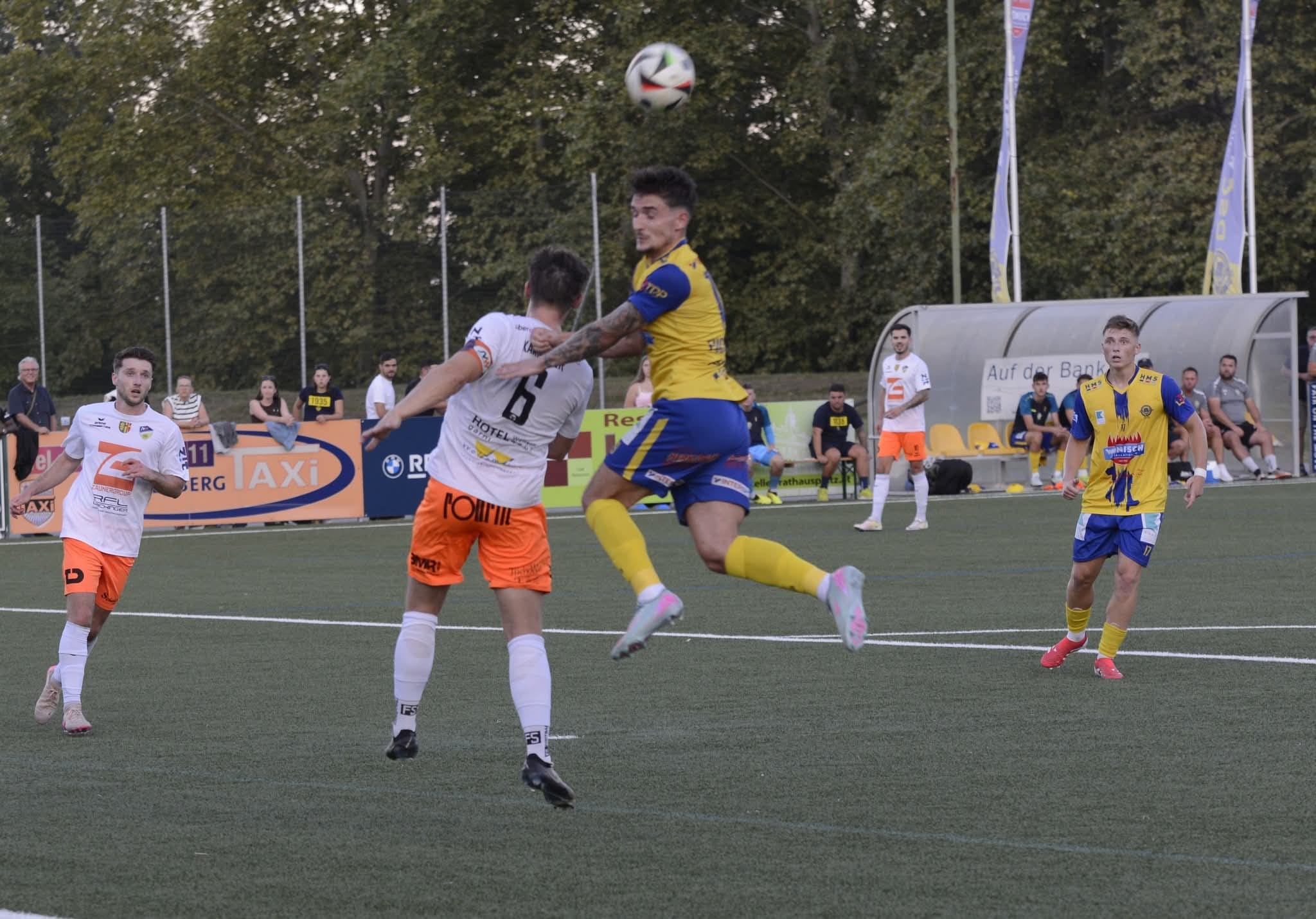 dsc wallern 2025 08 08 ripu mandl