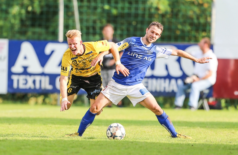 blauweiss allerheiligen