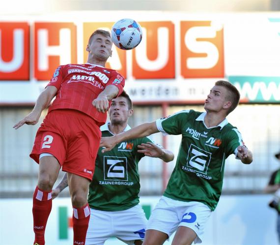 steyr wallern