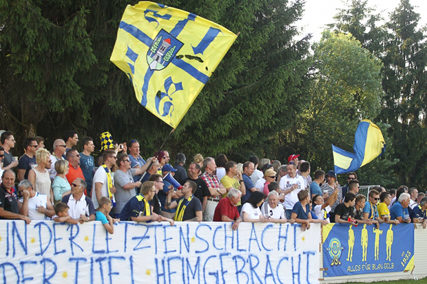 dsc fans