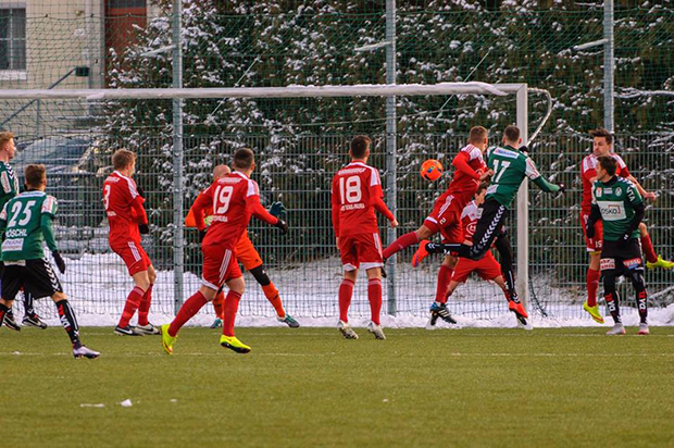 stadl-ried