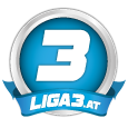 liga3.at-Team der Hinrunde 