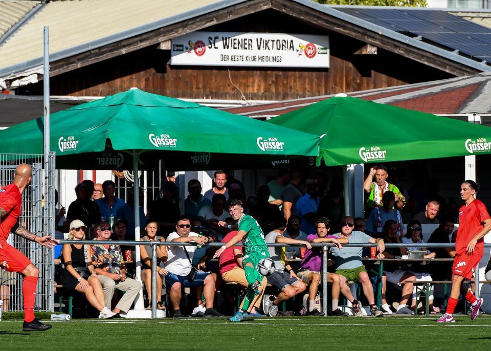 ViktoriaWienRapidParak3