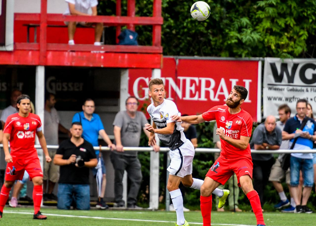 Wiener Viktoria Admira Juniors1