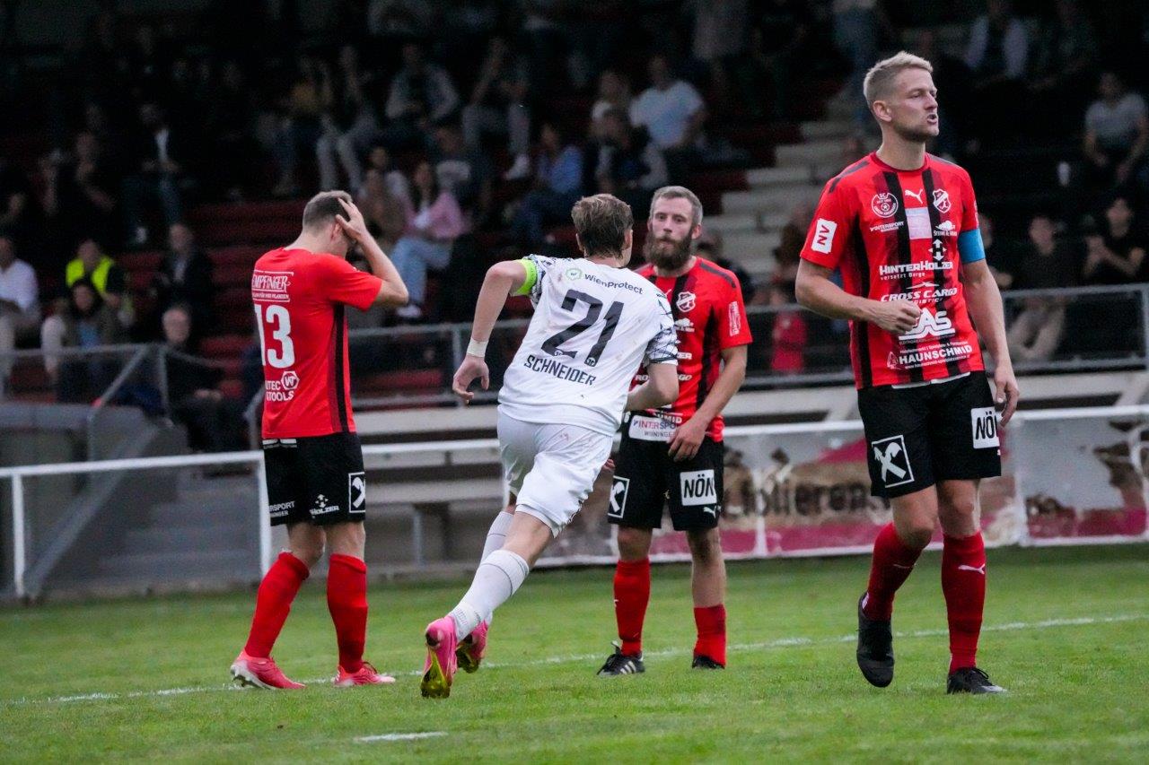 donaufeldardaggerhaller1