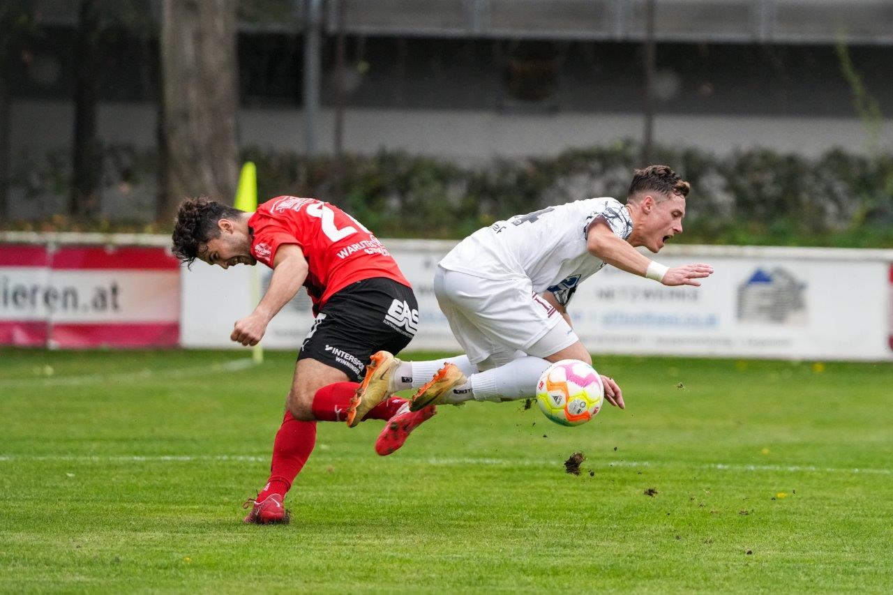 donaufeldardaggerhaller2