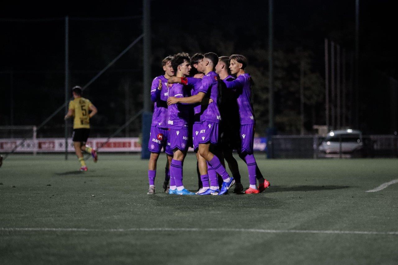 young violets krems 2024 10 01 AnneSophieDannerFellinger2