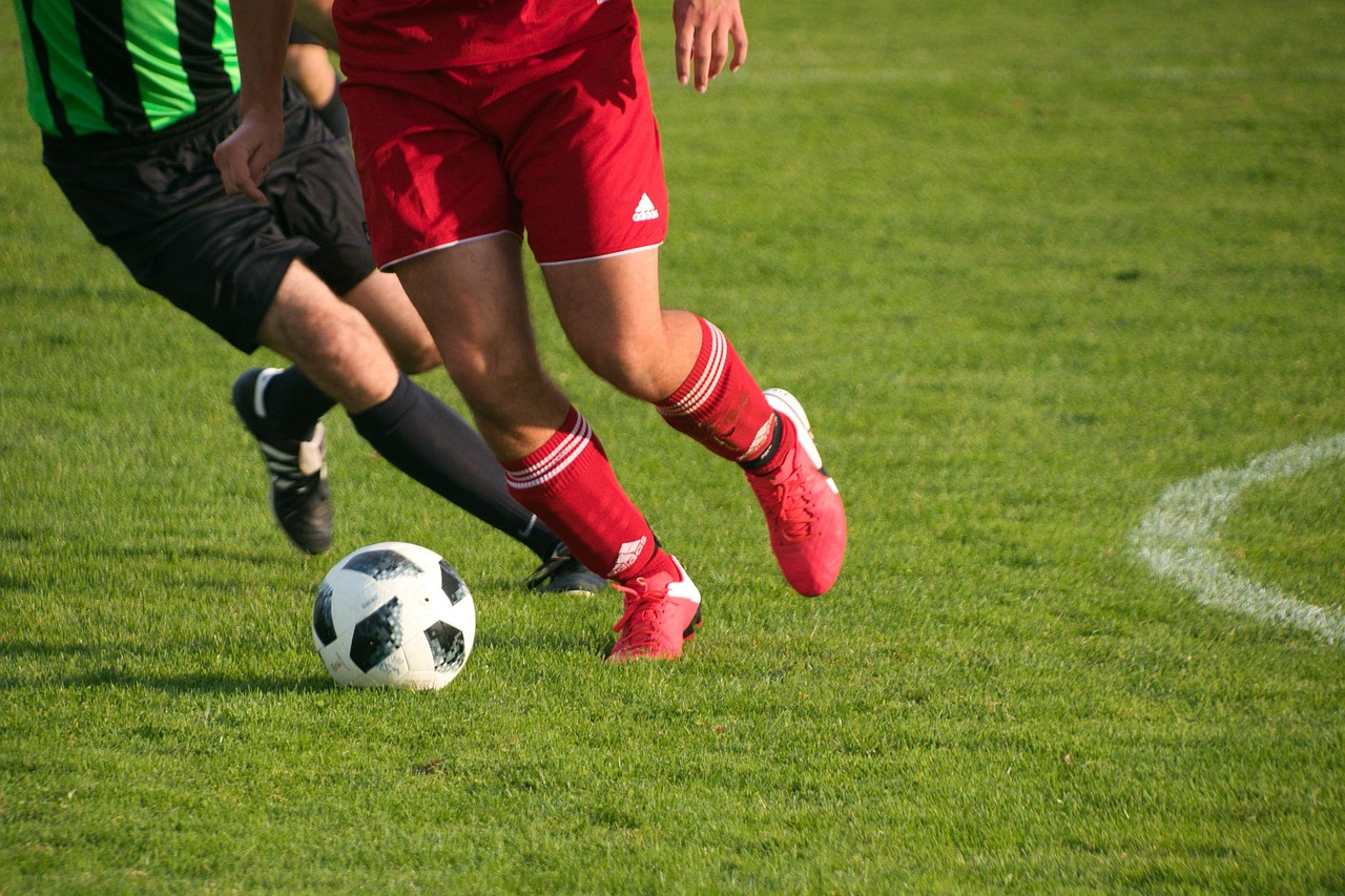 planet fox soccer 6616821 1280