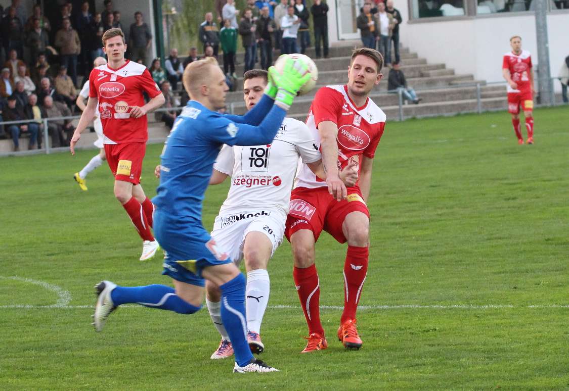neusiedl-soll2