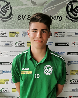 gosch martin