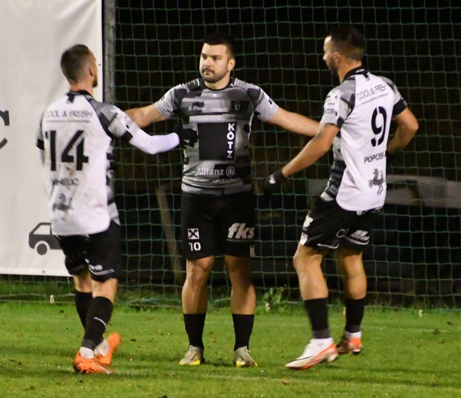 nikolic zan tappler